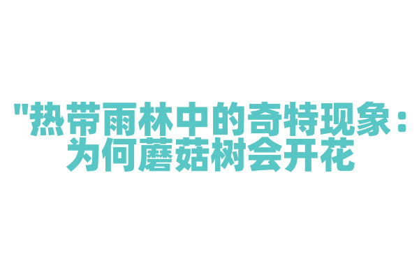 "热带雨林中的奇特现象：为何蘑菇树会开花？"